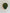 Muur lamp wit groen