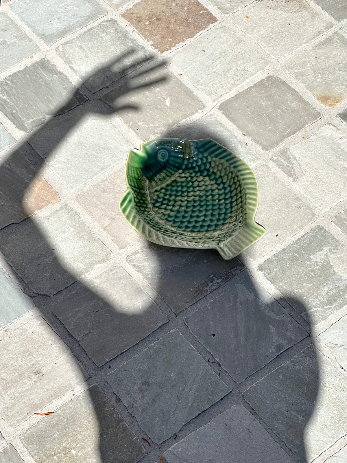 Fish plate Green
